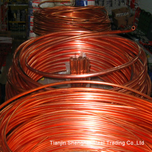 Best Quality Copper Tube (C10200) /Copper Pipe (C12000)