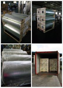 Metallized CPP Film. Printing & Packaging Material Film